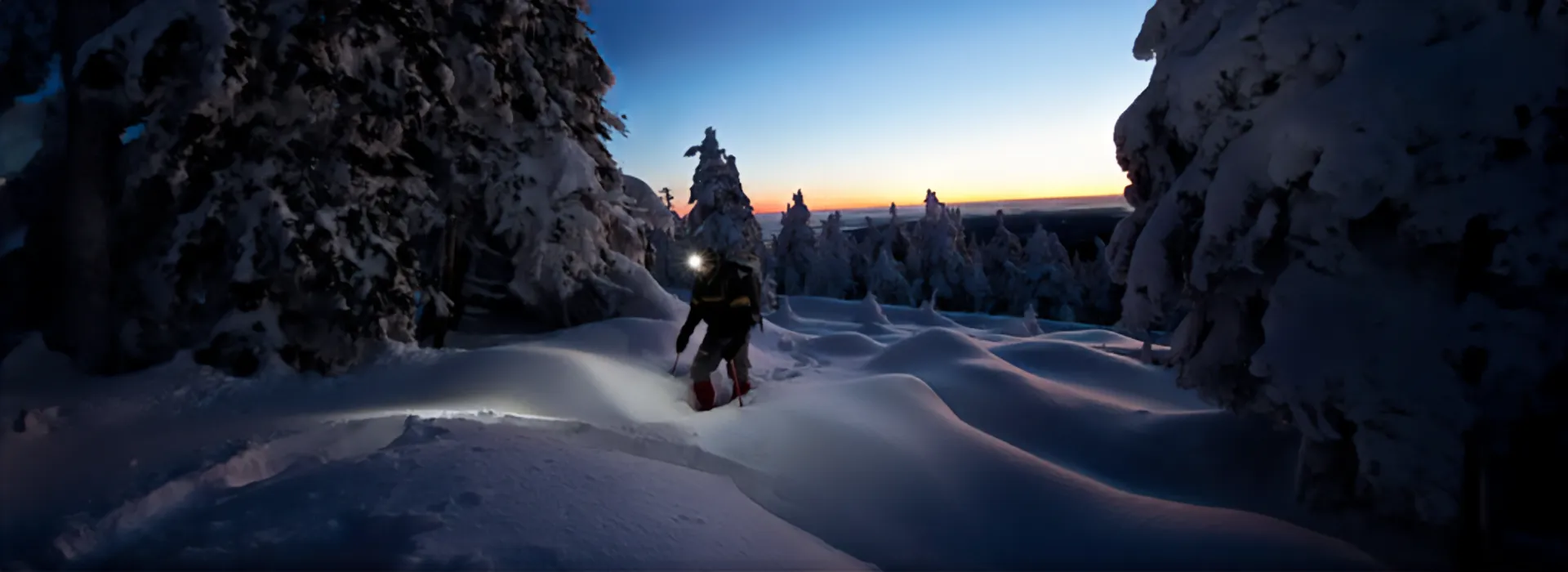 Caminata nocturna en bosque nevado