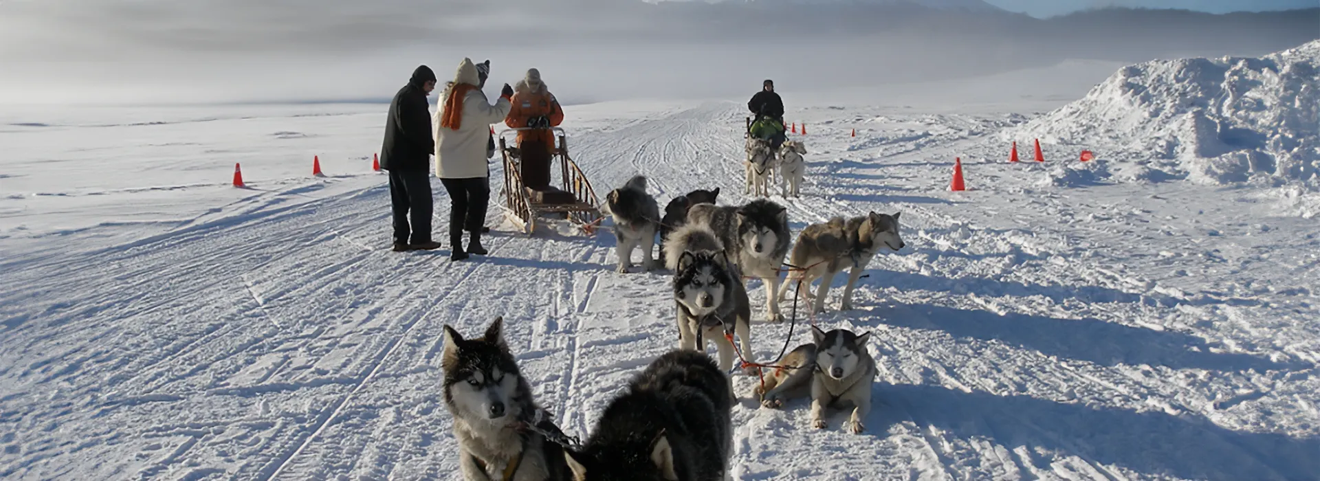 Paseo en trineo con Huskys