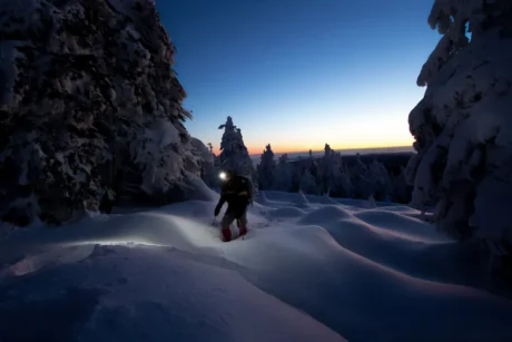 Caminata nocturna en bosque nevado