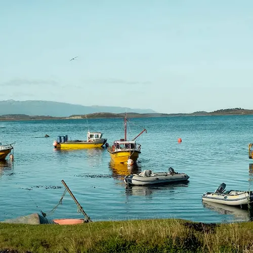 Puerto Almanza y Ruta de la Centolla