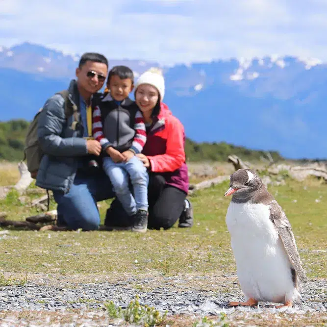 Caminata Pingüinera