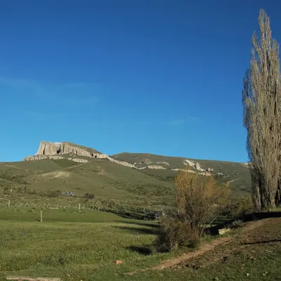 El Cerro La Buitrera visto desde el campo, con álamos en primer plano.