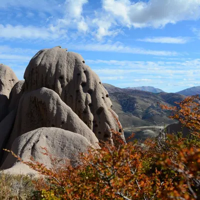 Hongos de piedra con ñires en colores de otoño.